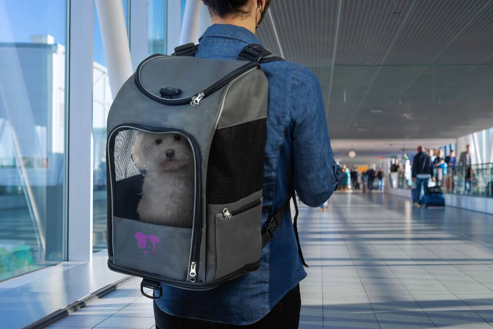 TrustyPup® 2-In-1 Dog Travel Backpack Pet Carrier