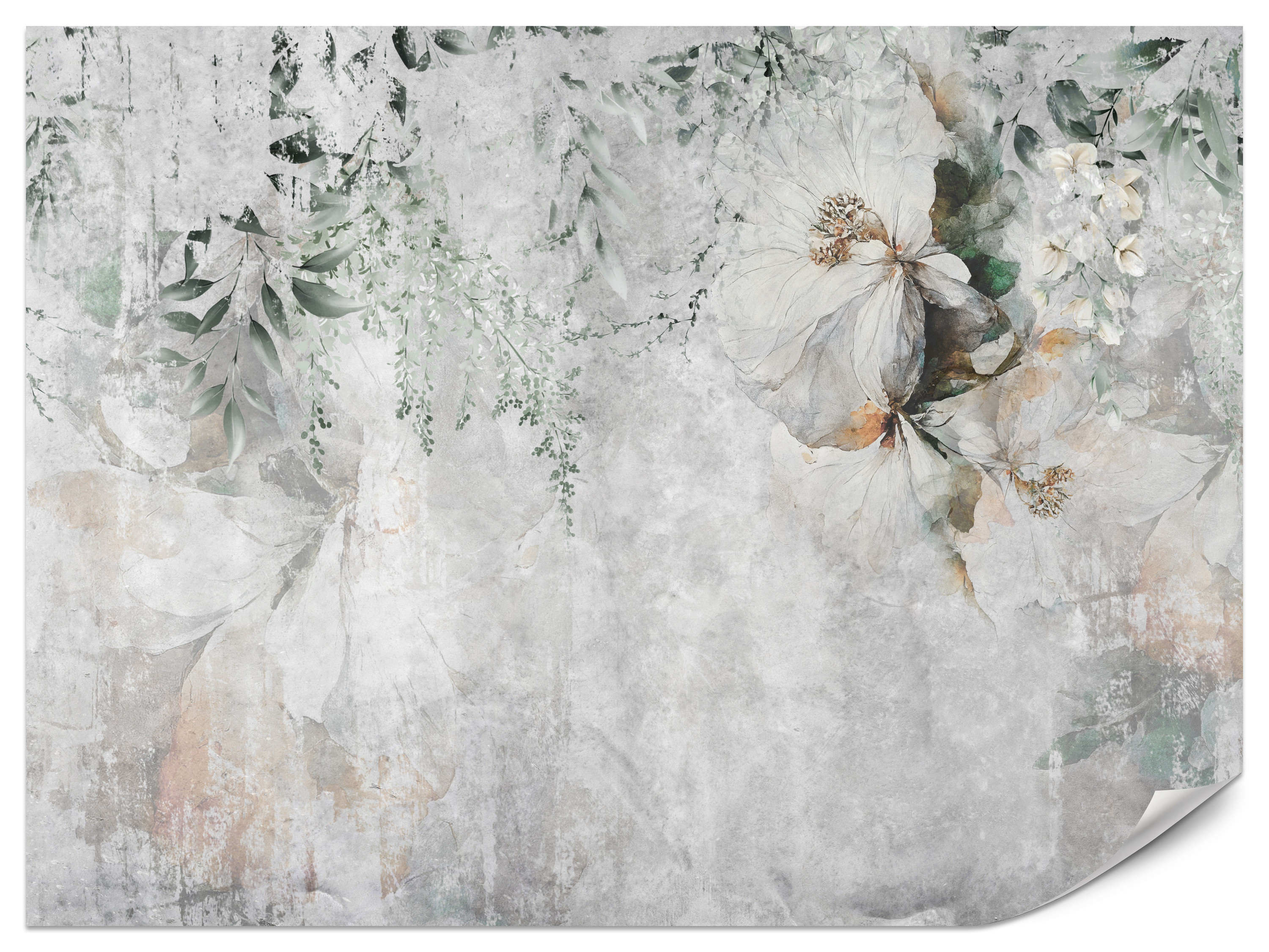 Fototapeta Delikatne kwiaty na betonowym tle 100x70cm