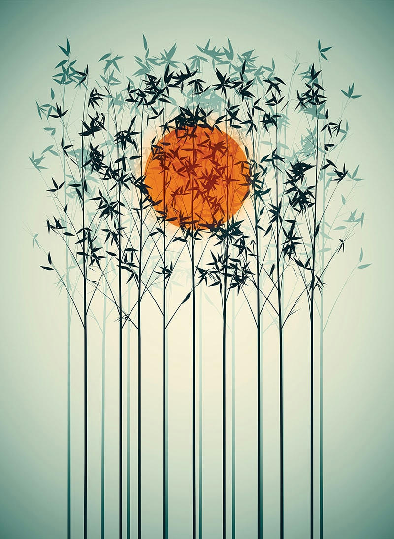 - Tableau sur toile Japan bamboo 50x70