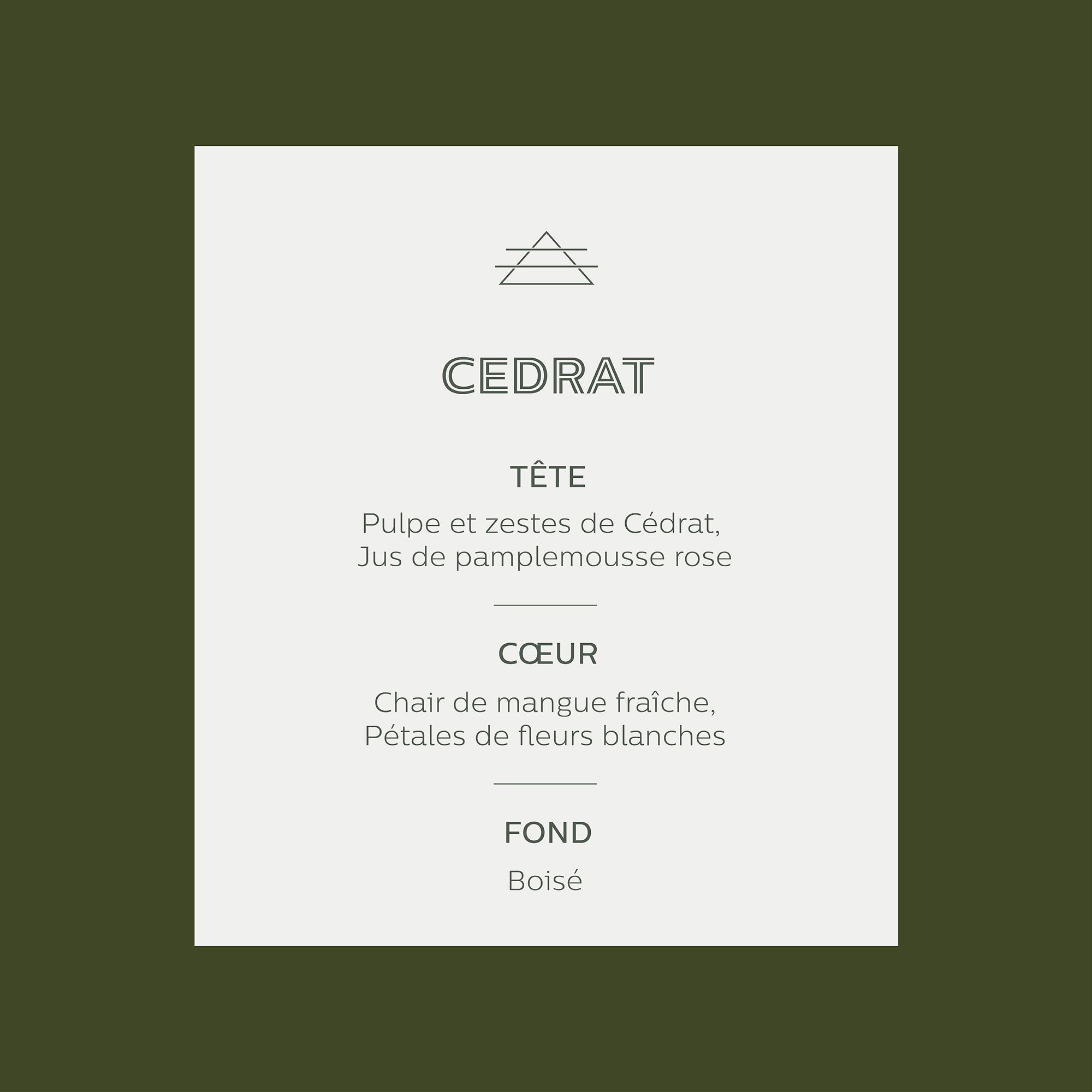 ESSENTIEL - Diffuseur de parfum senteur Cédrat 100ml