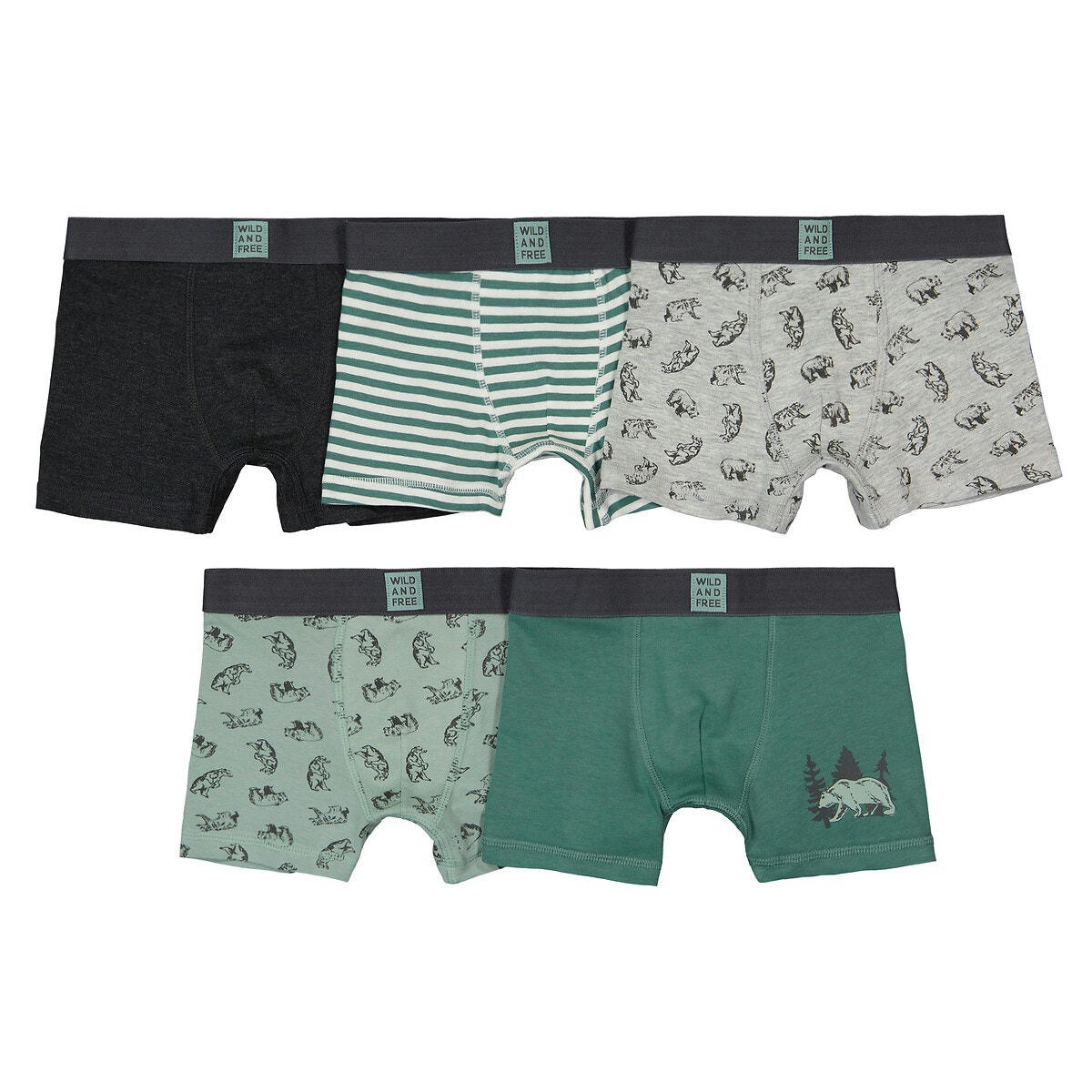 Lot de 5 boxers en coton imprimé ours