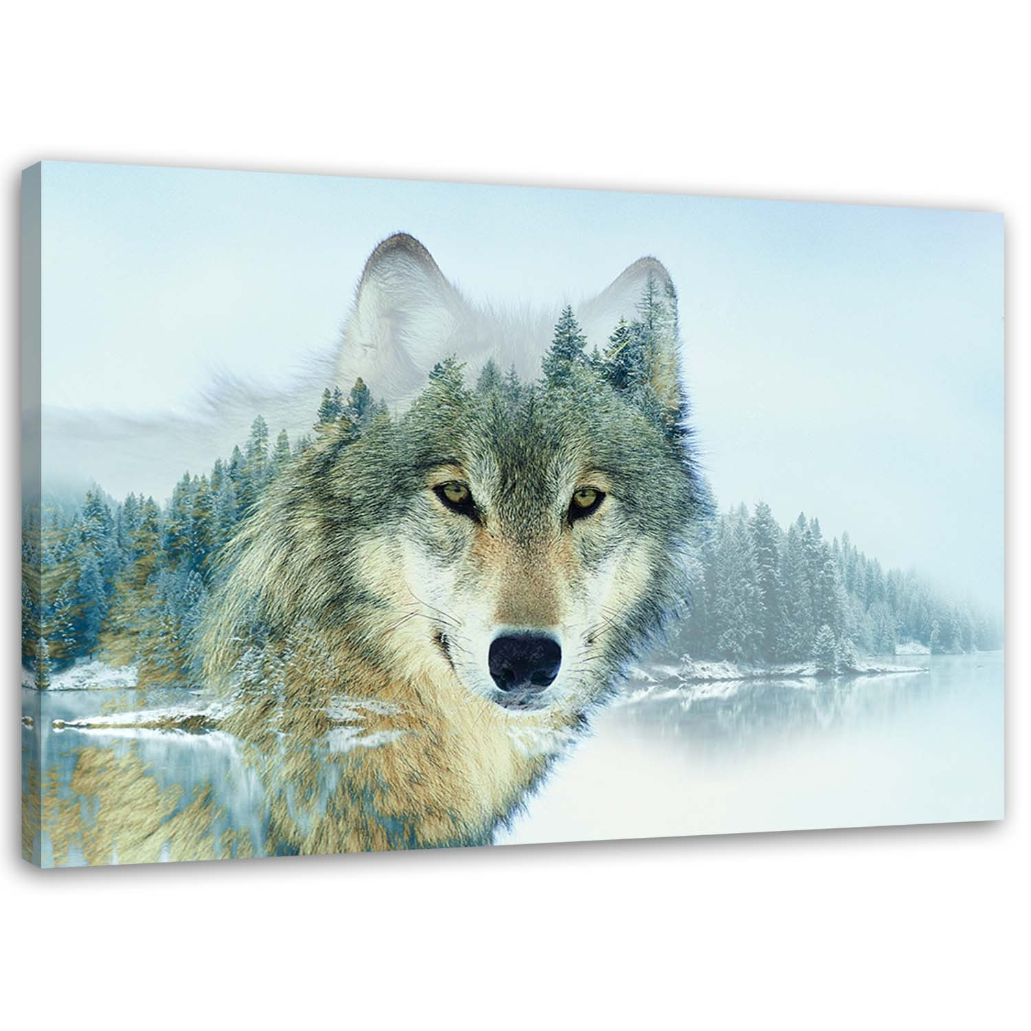 Feeby Obraz na płótnie, Wilk na tle gór 60x40