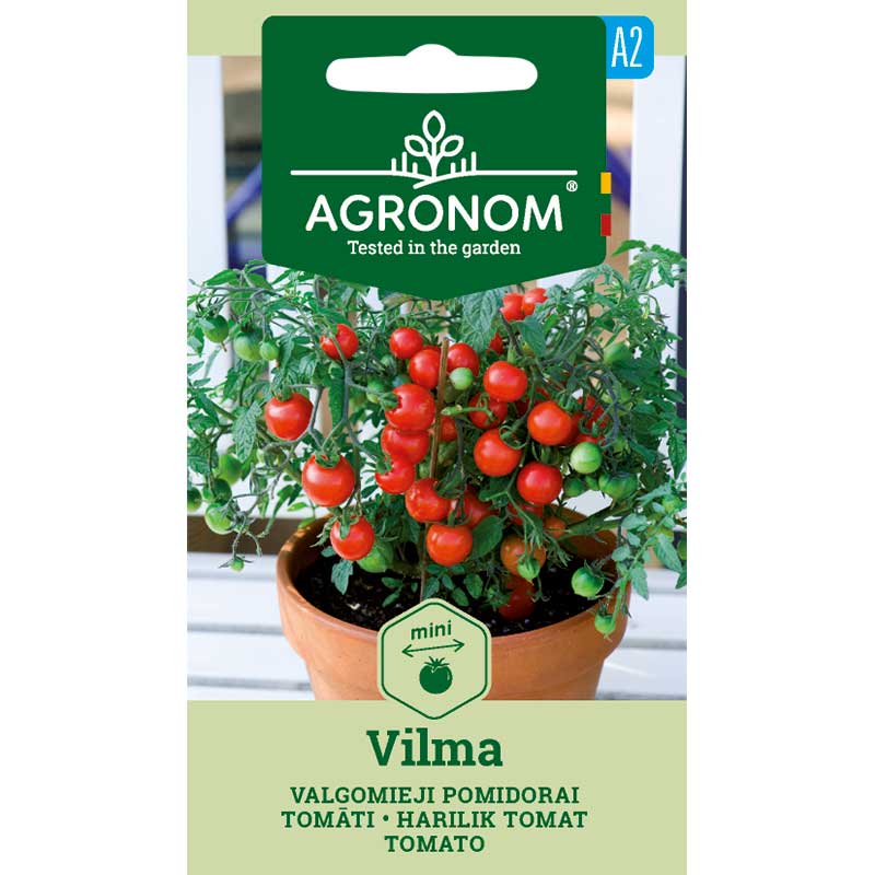 Tomat 'Vilma'