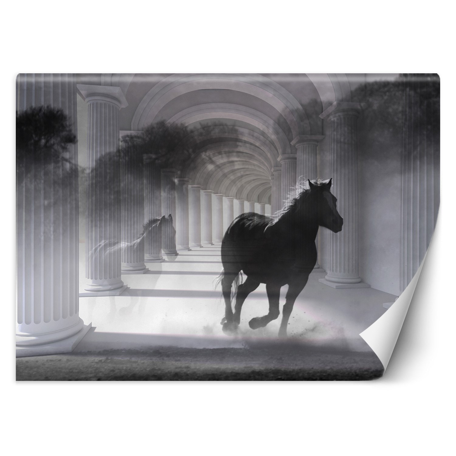 Feeby Fototapeta, Tunel biegnący koń efekt 3D 150x105