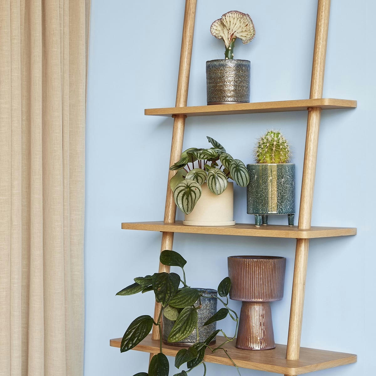 SEED - Pot en céramique violet et vert (x2)