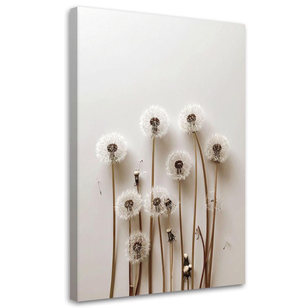 Obraz do salonu kuchni biura, Dmuchawce rośliny natura boho 20x30