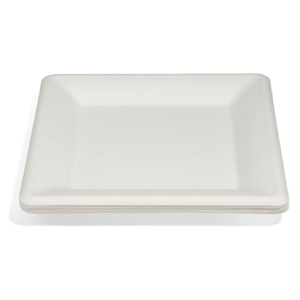 Lot de 12 assiettes plates carrées en canne à sucre