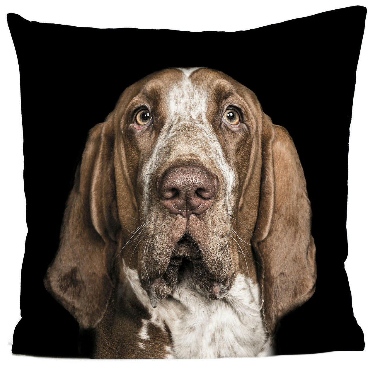 - Coussin chien braque suédine noir 40x40cm