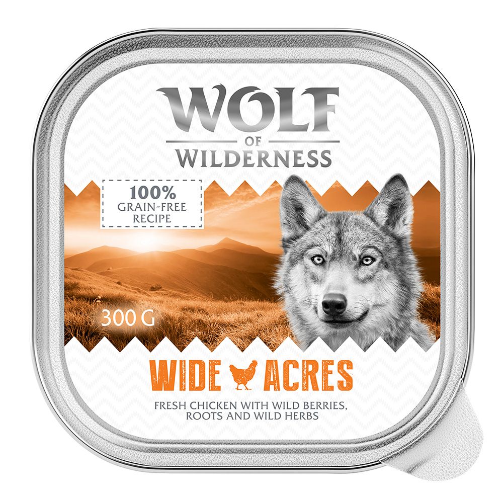 Wolf of Wilderness Adult Saver Pack 24 x 300g