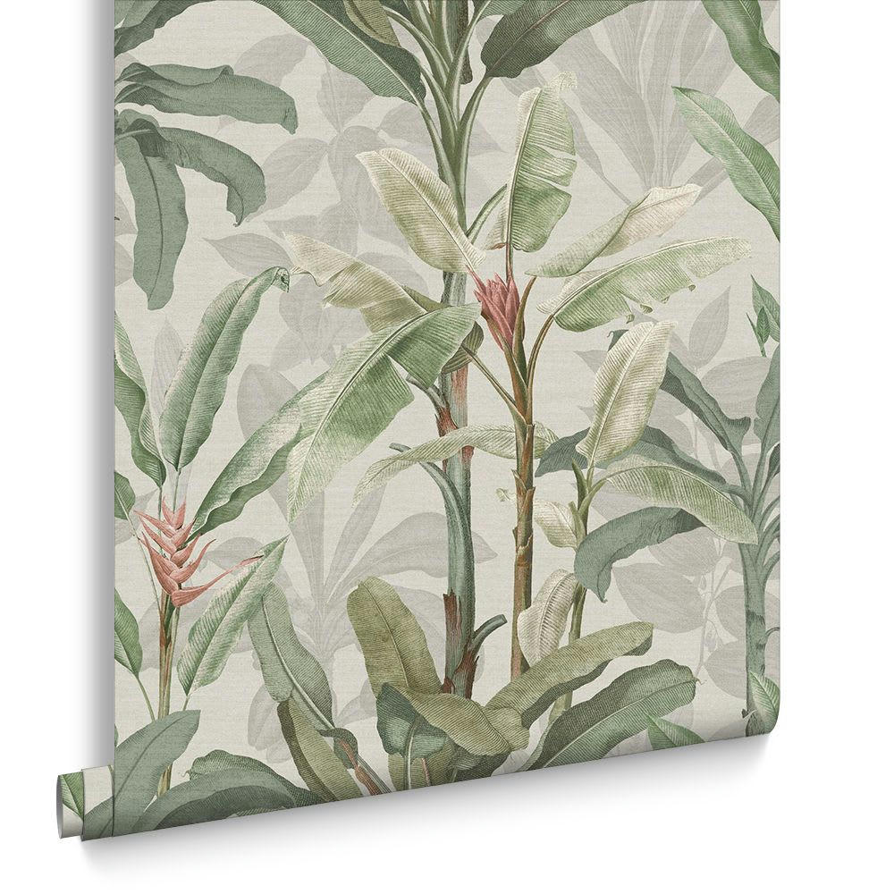 - papier peint borneo vert gris corail  1005x52cm