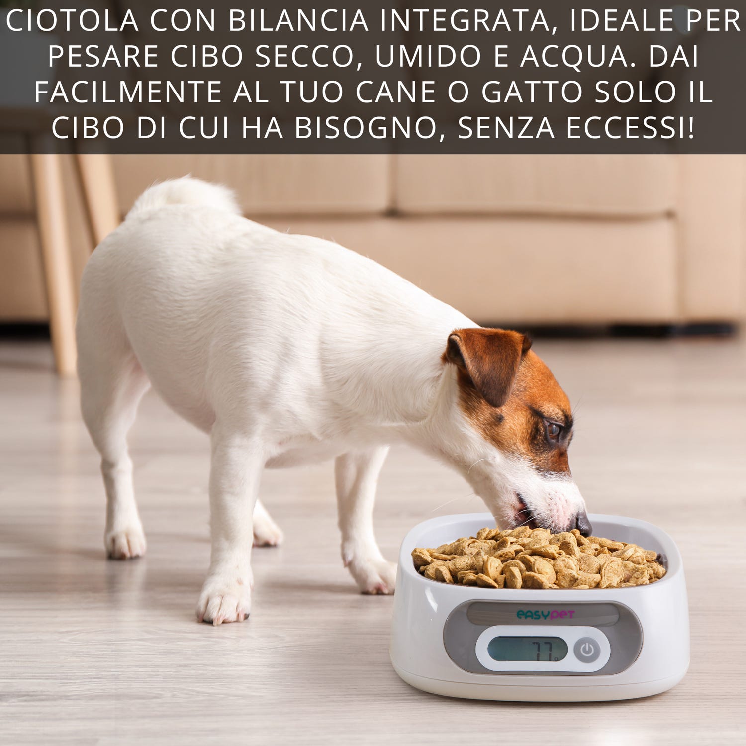 Ciotola con bilancia per cani e gatti Easy Pet