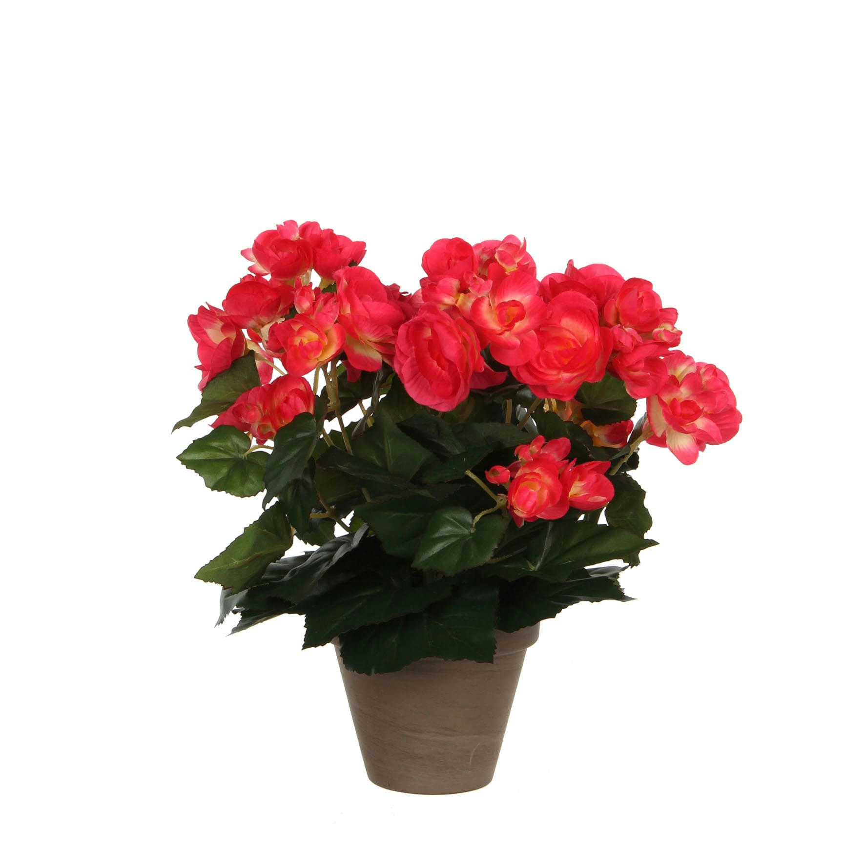 - Bégonia artificielle rose foncé en pot H30