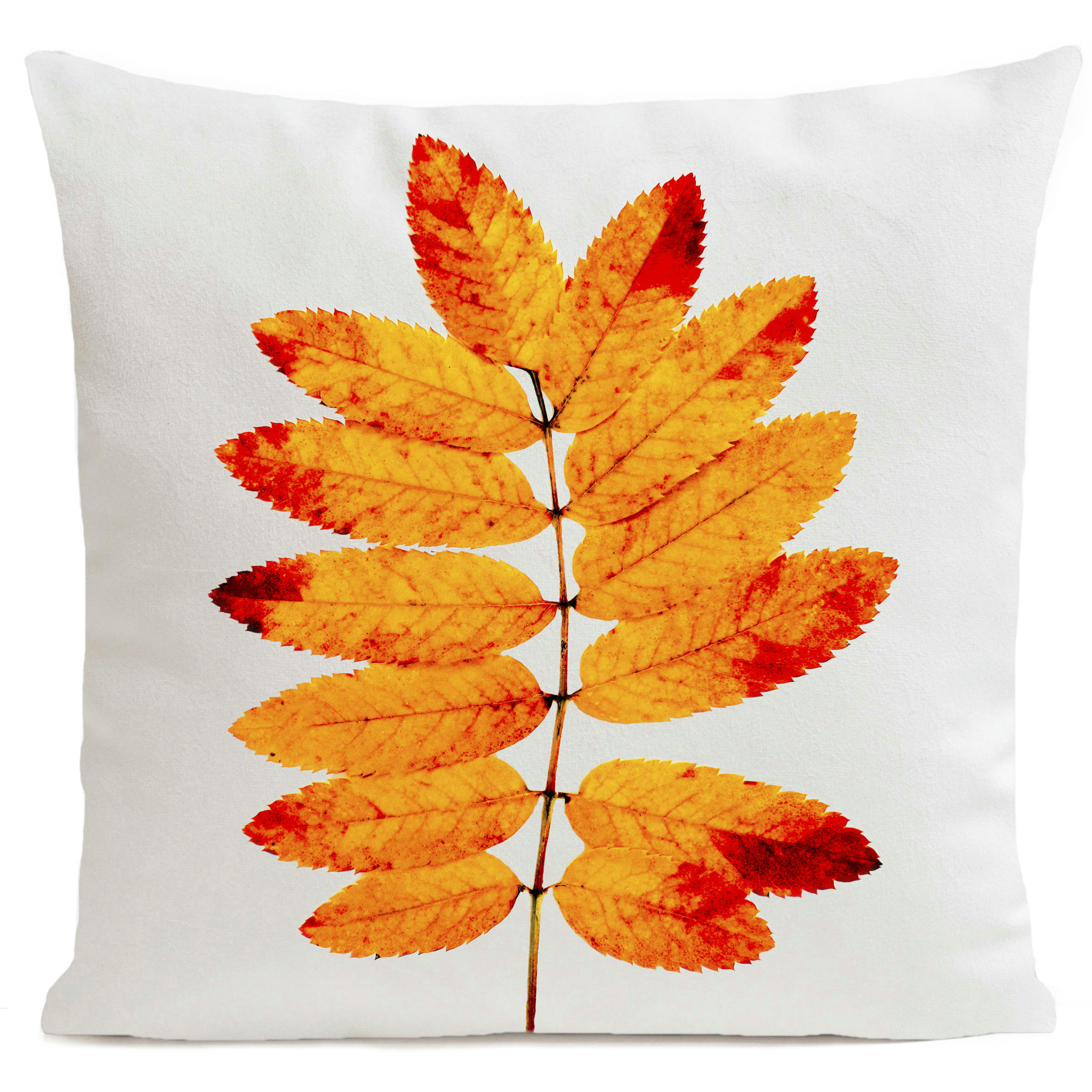 - Coussin automne suédine blanc  40x40cm