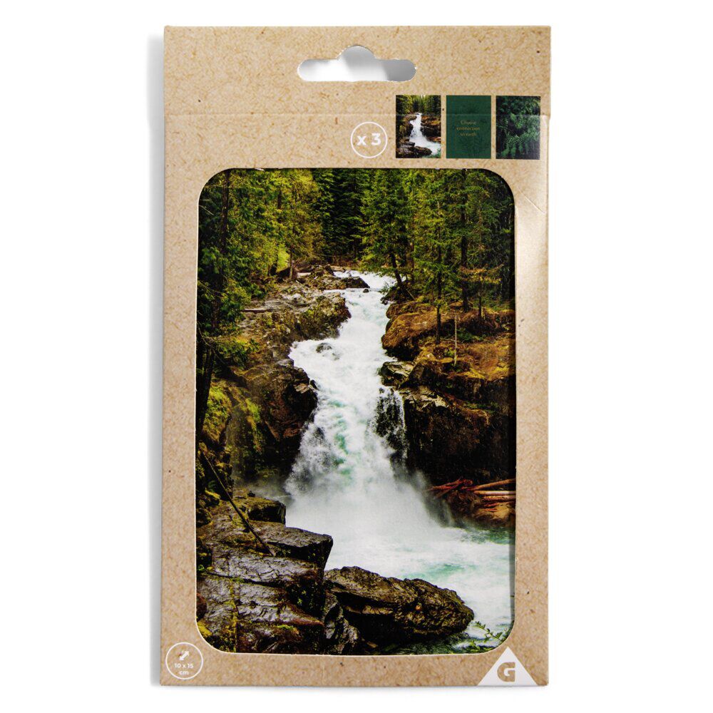 Lot de 3 affiches nature papier vert et noir 10x15cm