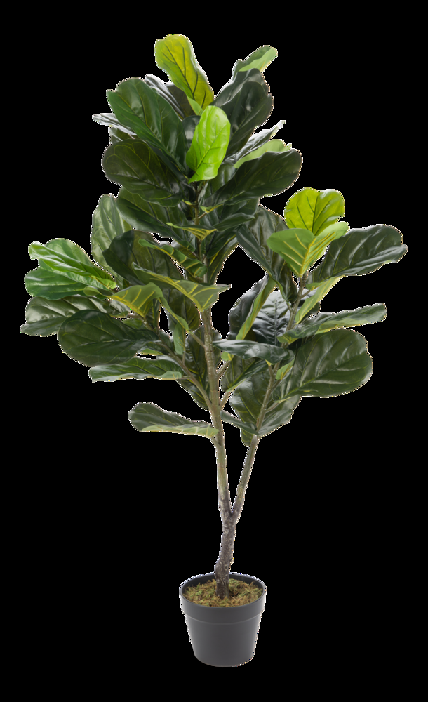 Naturae Décor Artificial Indoor Fiddle Leaf Plant in Black Pot, 49-in