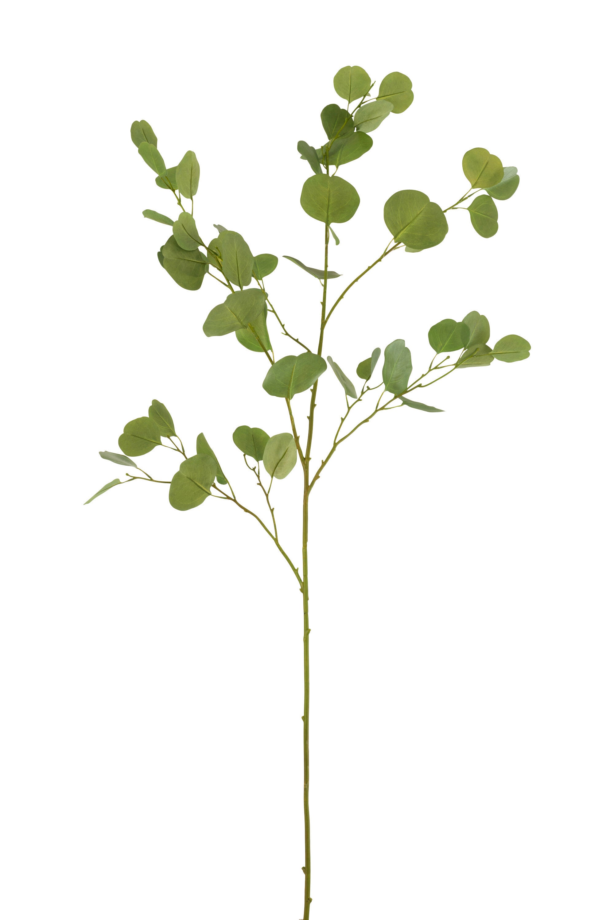J-Line decoratie tak Eucalyptus - kunststof - groen - 6 stuks