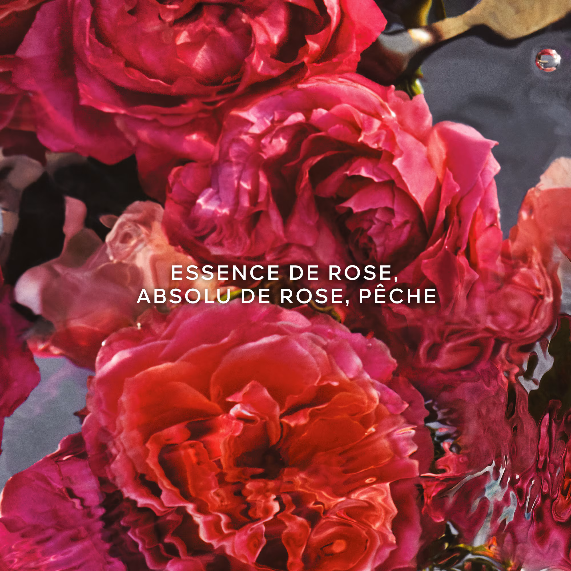 AQUA ALLEGORIA FORTERosa rossa - eau de parfum recharge