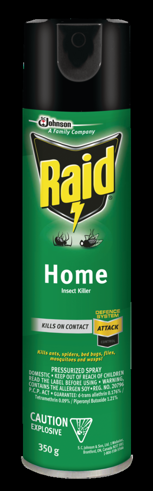 Raid Indoor/Outdoor Home Insect Killer Spray, 350-g
