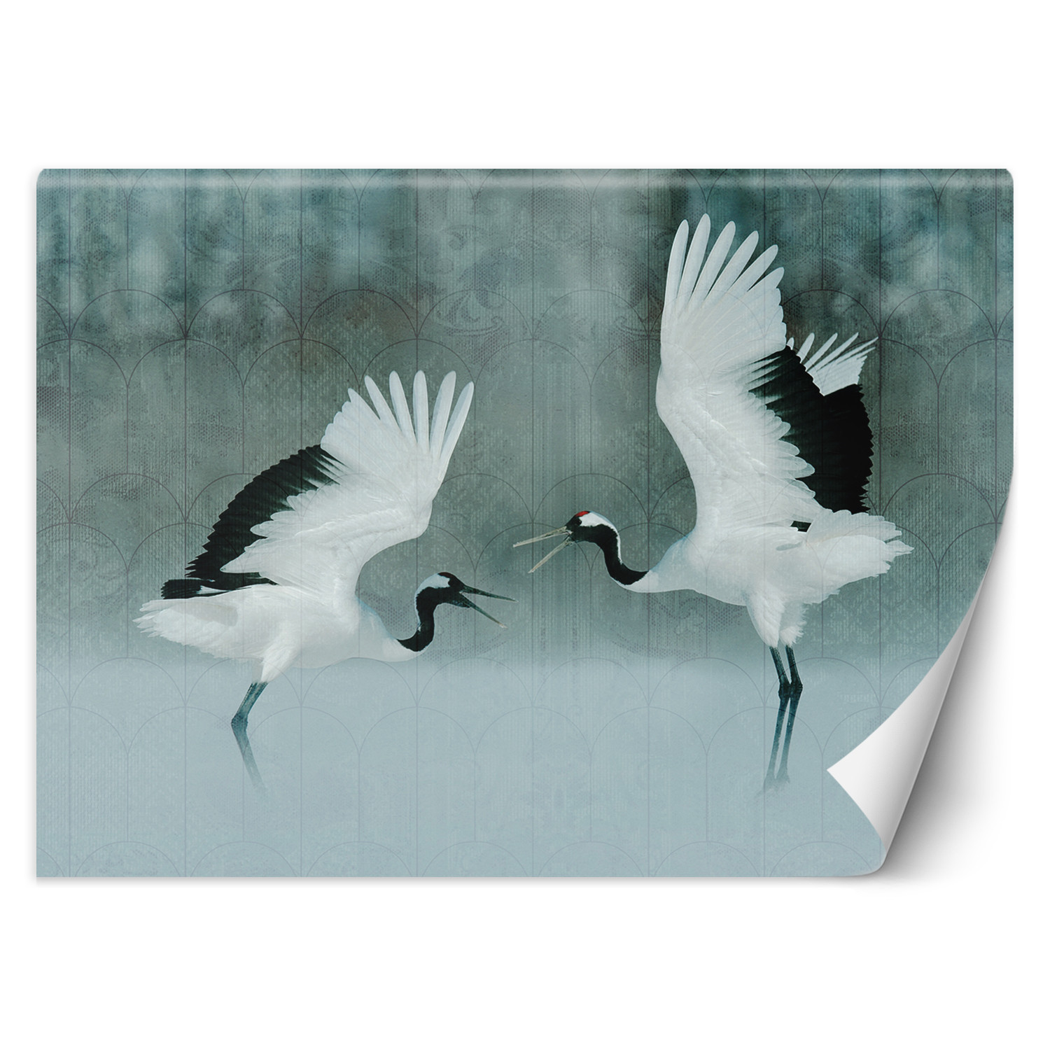 Feeby Fototapeta, Żurawie ptaki 150x105