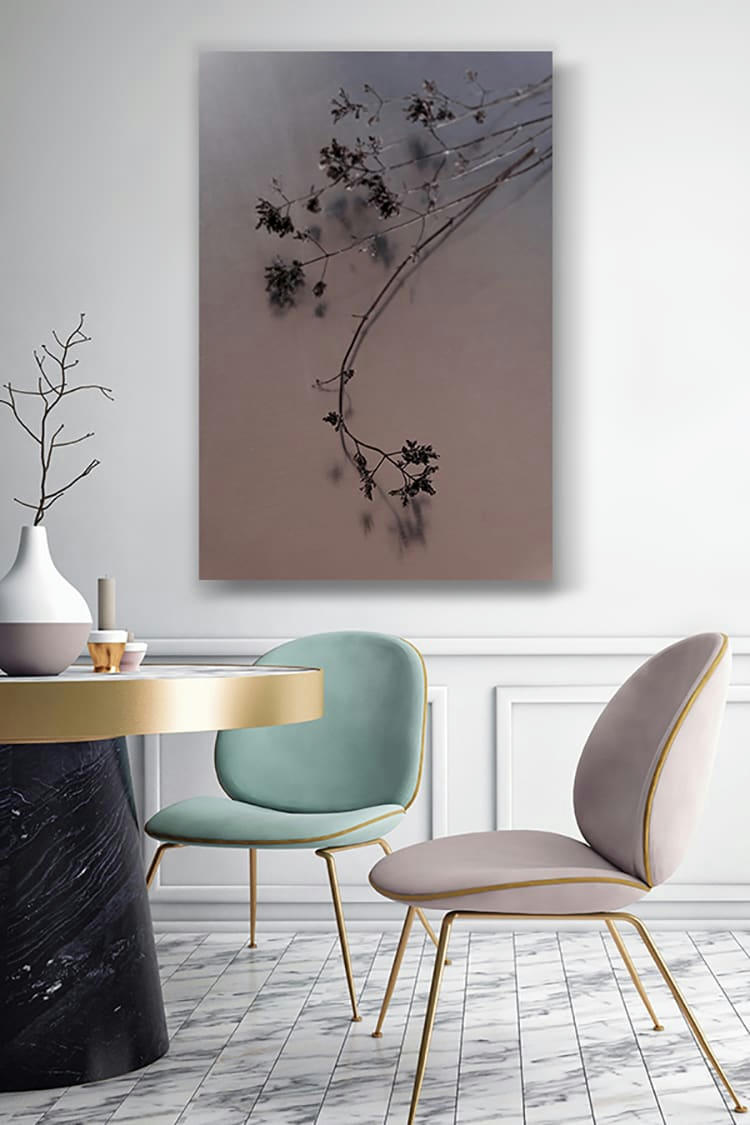 NATURE MORTE - Photographie d'art de Zoé Pignolet 30x45 cm sur plexi