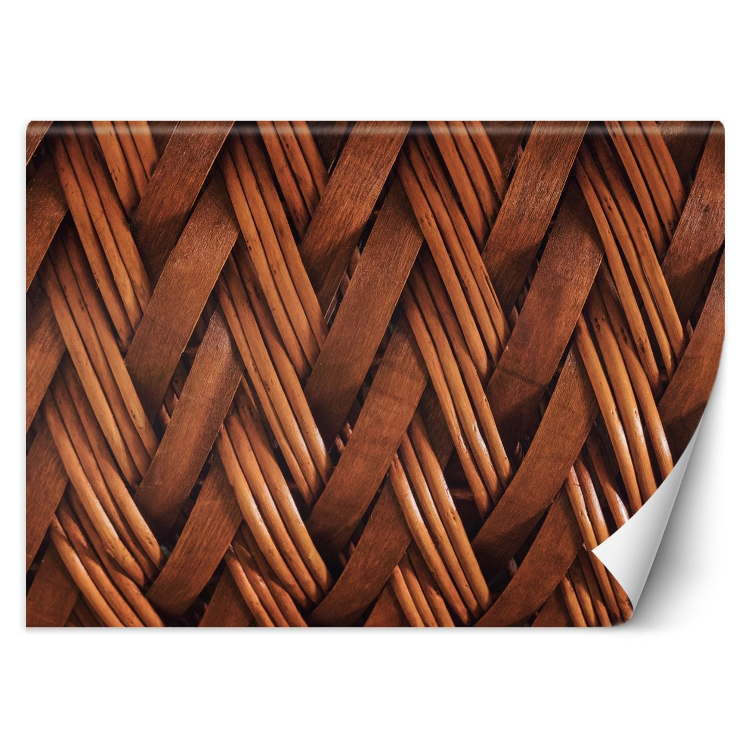 Feeby Fototapeta, Splot wikliny 3D 150x105