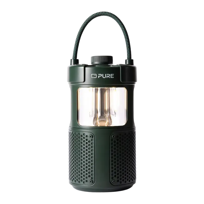 Lautsprecher Pure Woodland – glow