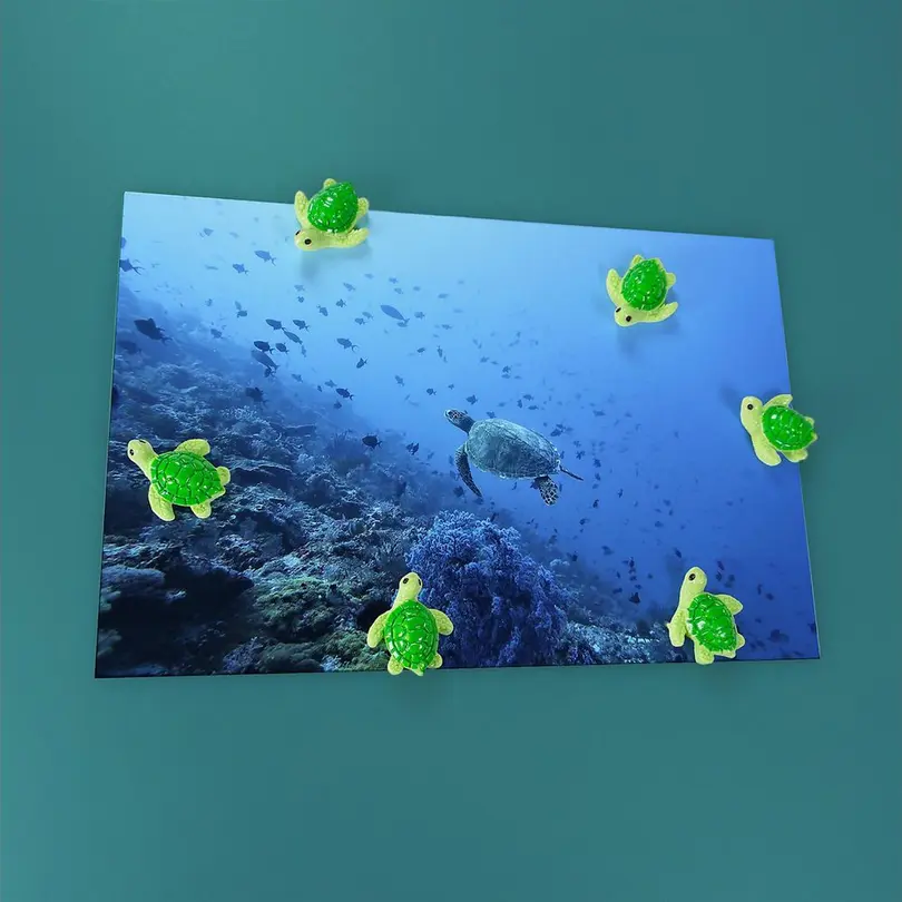 Magnet 5er-Set Kreativ