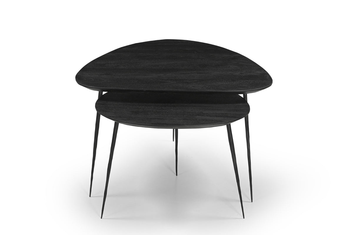 Giga Meubel Salontafel Remi - Organisch - Mangohout - Set van 2