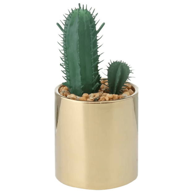 MINI ARRANJO RIQUEZ CACTO CEREUS