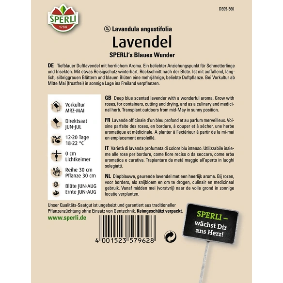 Lavendel »SPERLI's Blaues Wunder«, mehrjährig, aromatischer, niedriger Duftlavendel