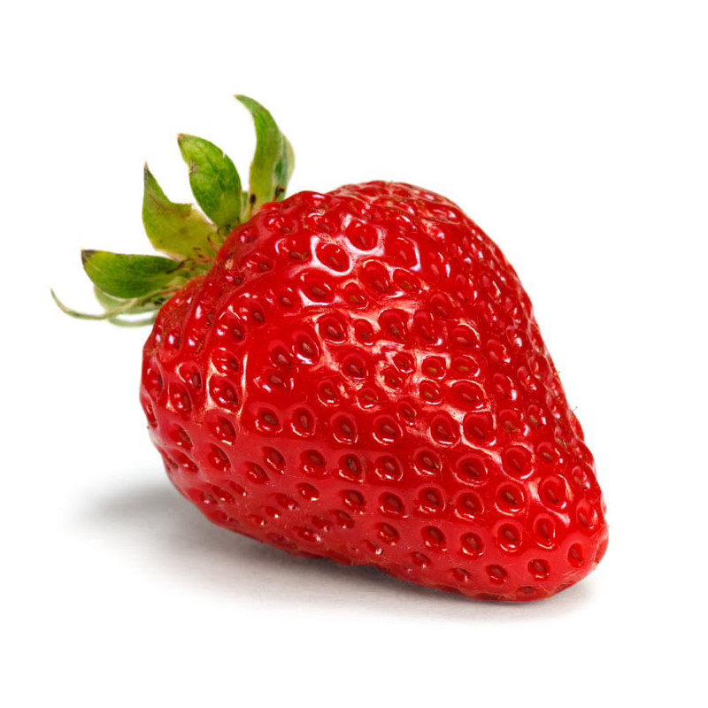 Fraisier Rabunda en pot