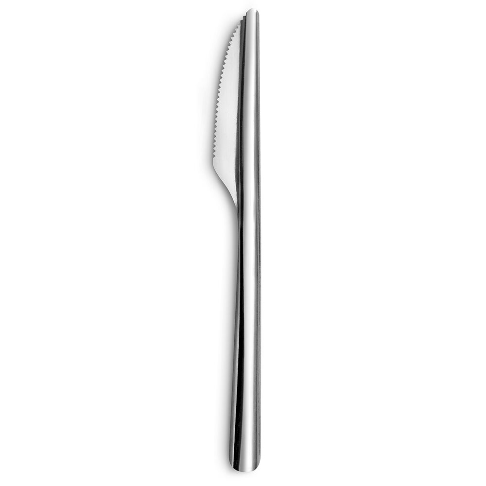 Couteau inox x12