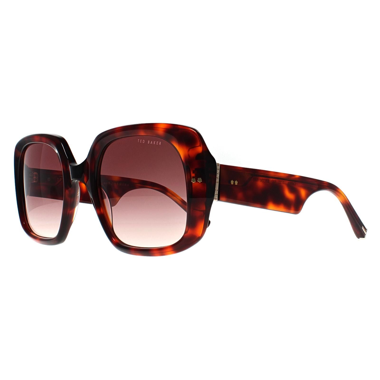 Ted Baker Square Tortoise Brown Gradient TB1730 Catrina