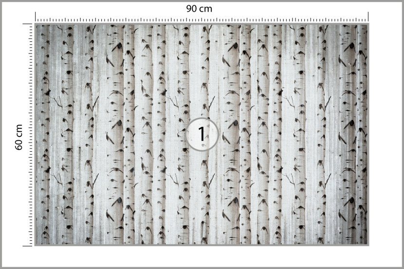 Fototapeta Abstrakcyjny Brzozowy Las 90x60cm