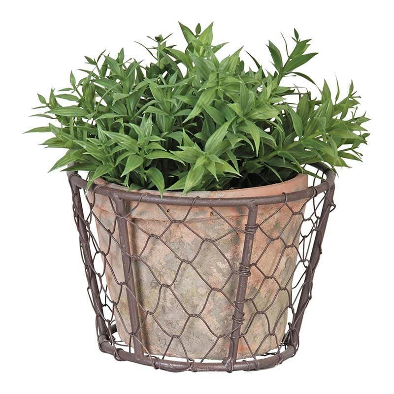 - Cache pot métal et pot en terre cuite