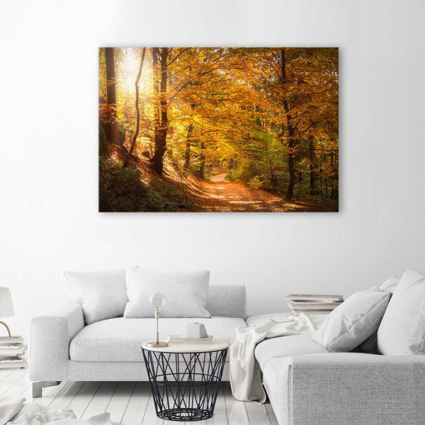 Feeby Obraz na płótnie Las jesienny pejzaż 60x40