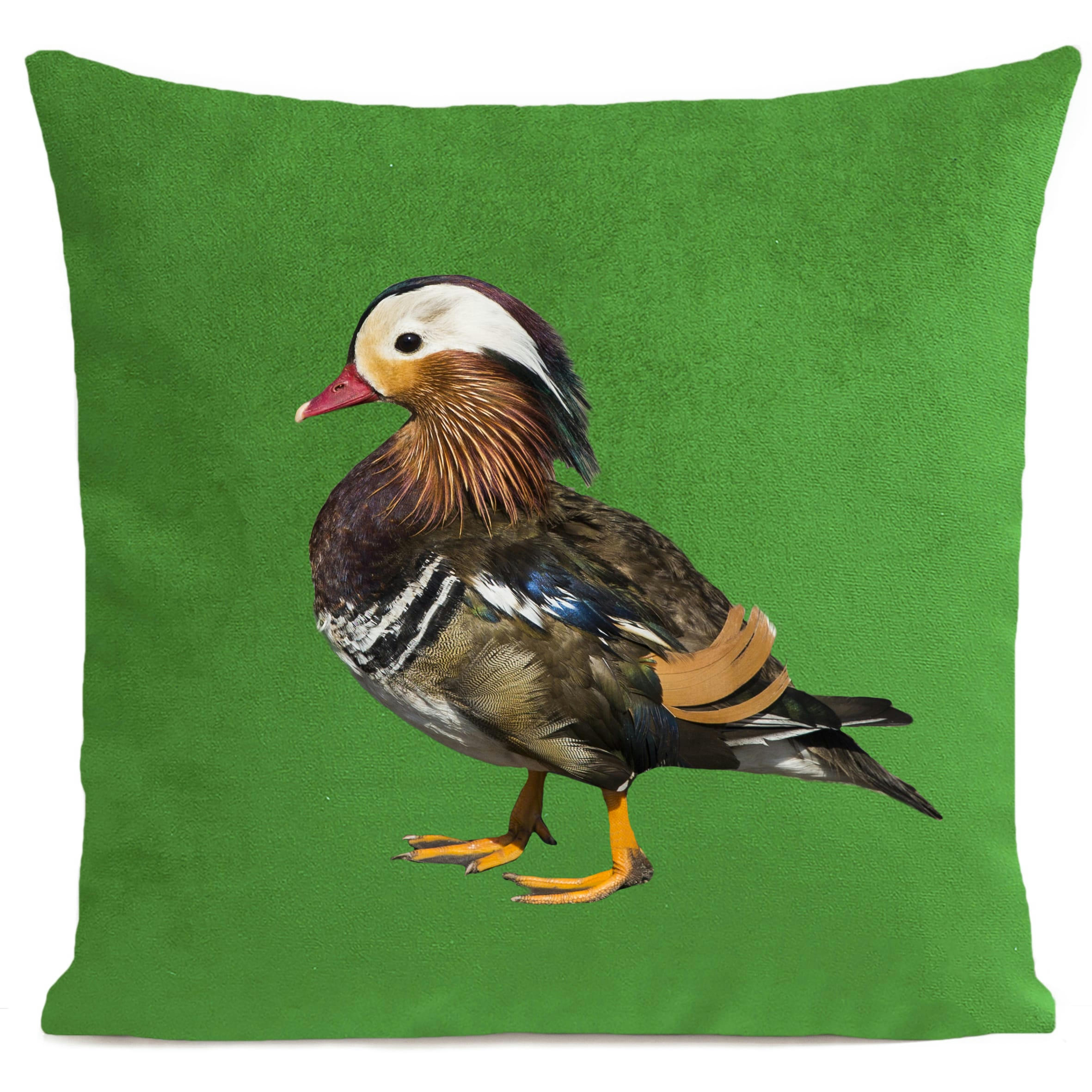 - Coussin campagne coq suédine vert 40x40cm