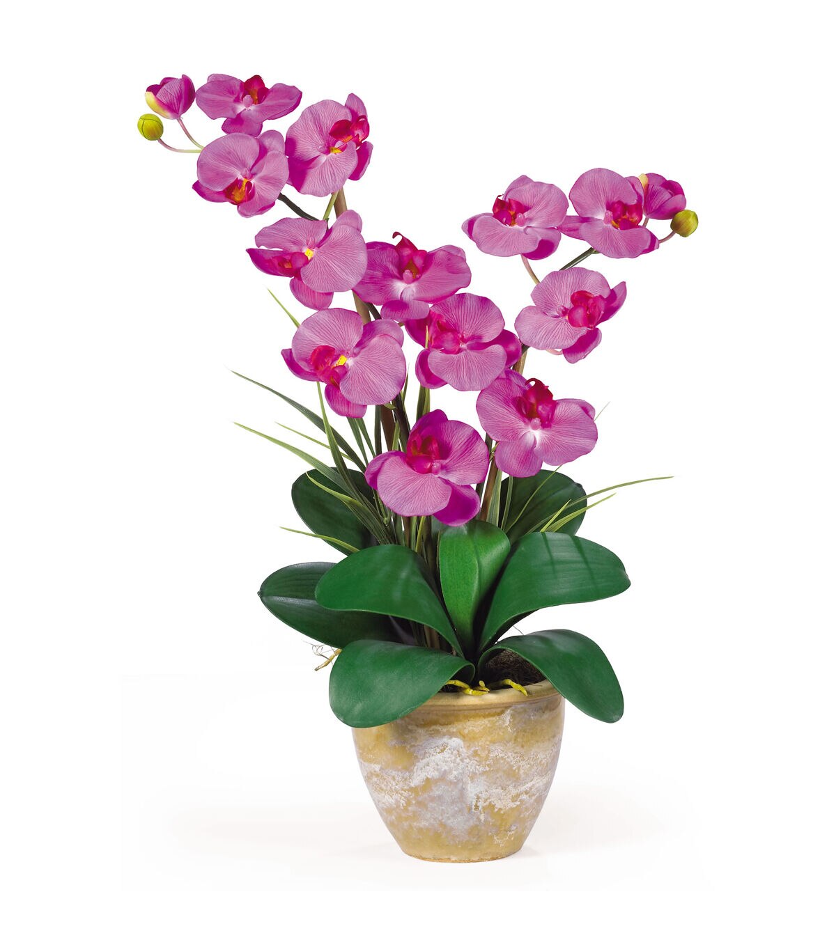 Nearly Natural Double Phalaenopsis Silk Orchid Flower