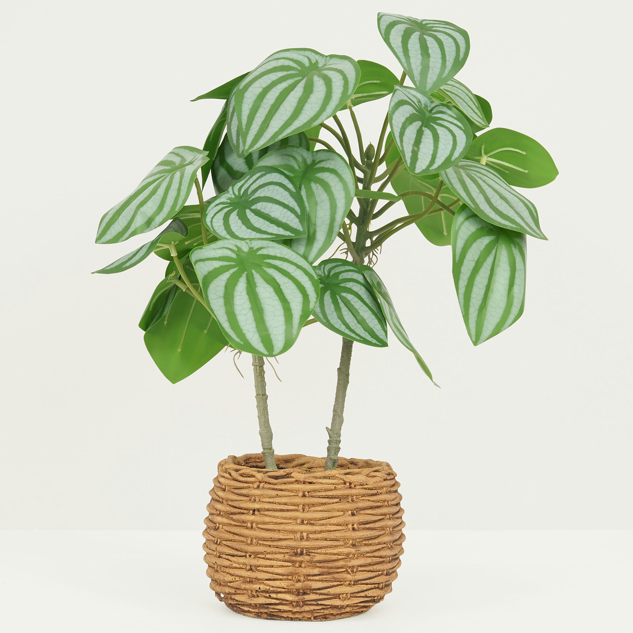 - Peperomia artificiel pot effet cannage 40cm