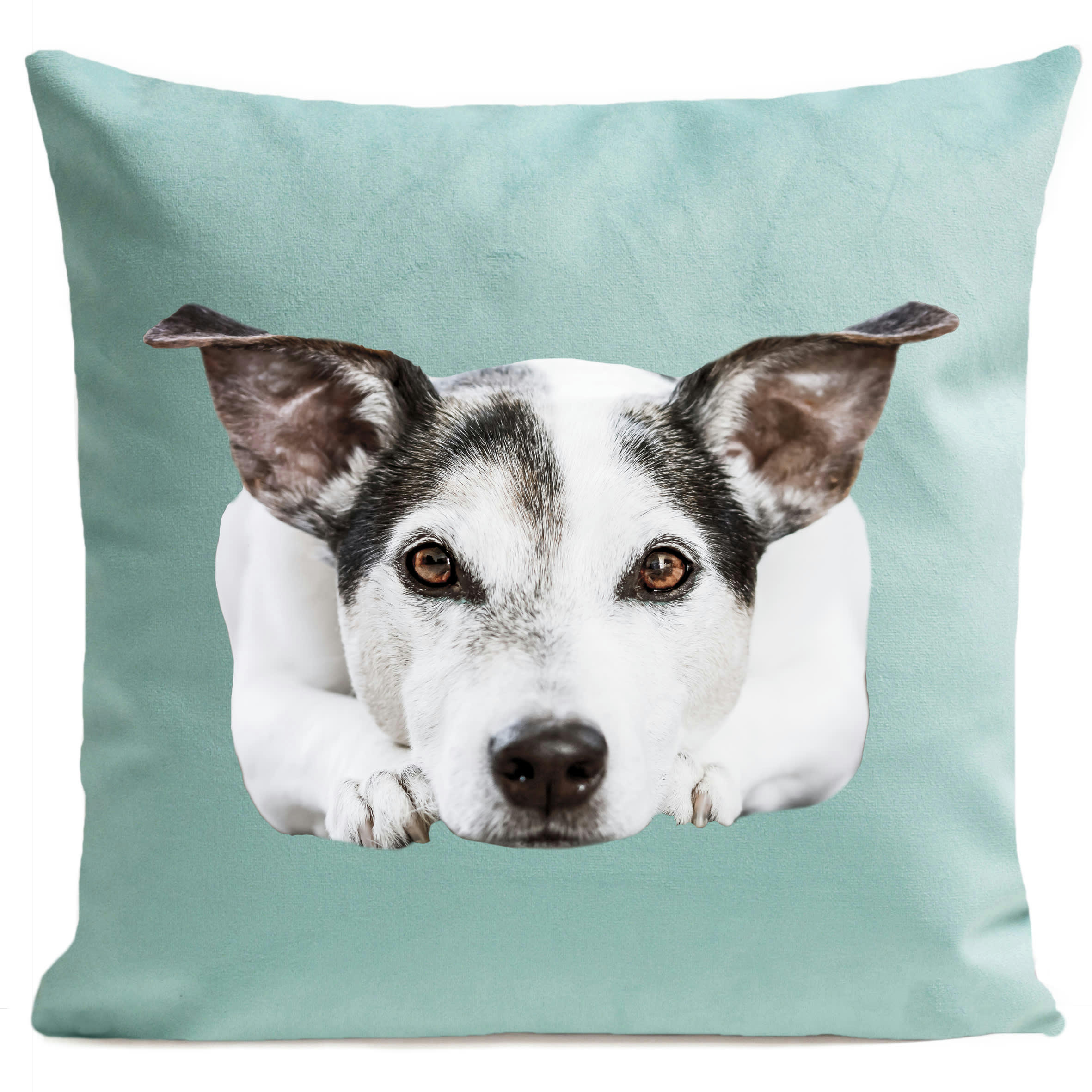 - Coussin chien jack russel suédine bleu 40x40cm