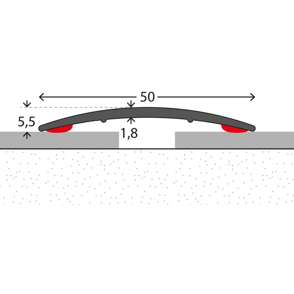 Übergangsprofil, BxL: 50 x 1000 mm, Höhe: 6 mm, silberfarben