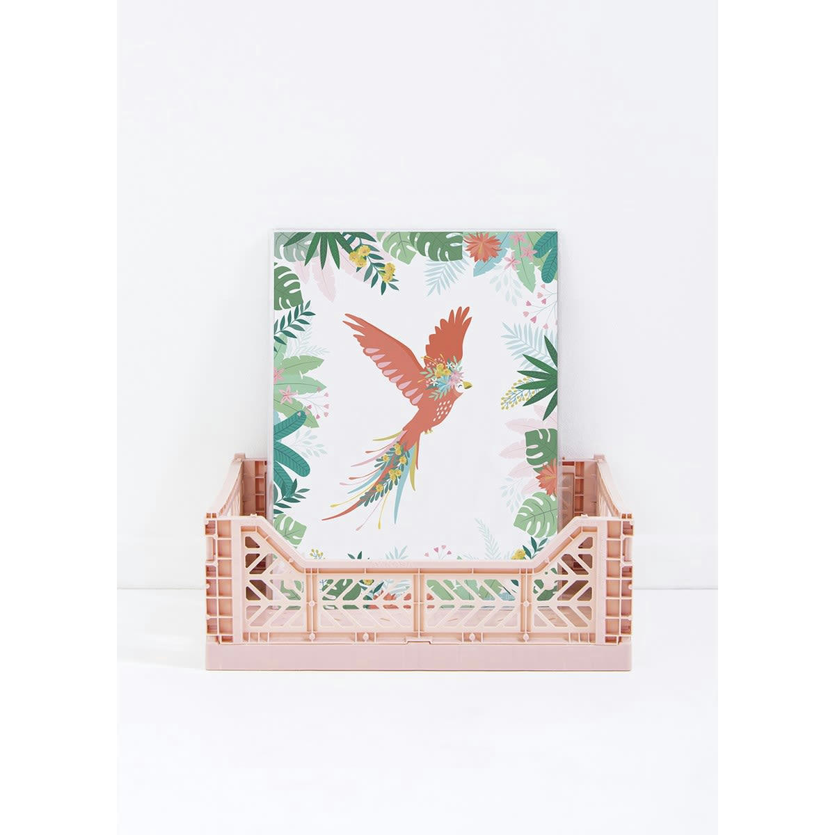 - Affiche perroquet en Papier Multicolore