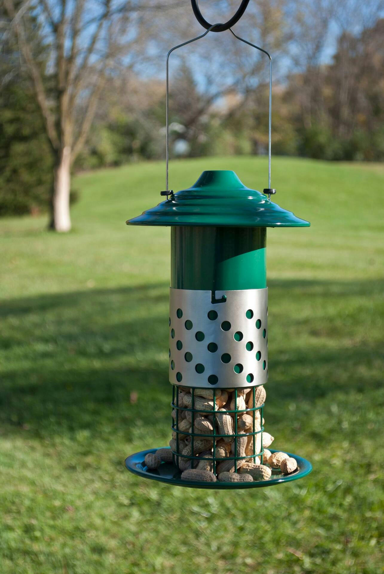 Panacea Combo Steel Peanut, Suet Ball, & Mealworm Feeder with Sliding Sleeve, 12-in, Green