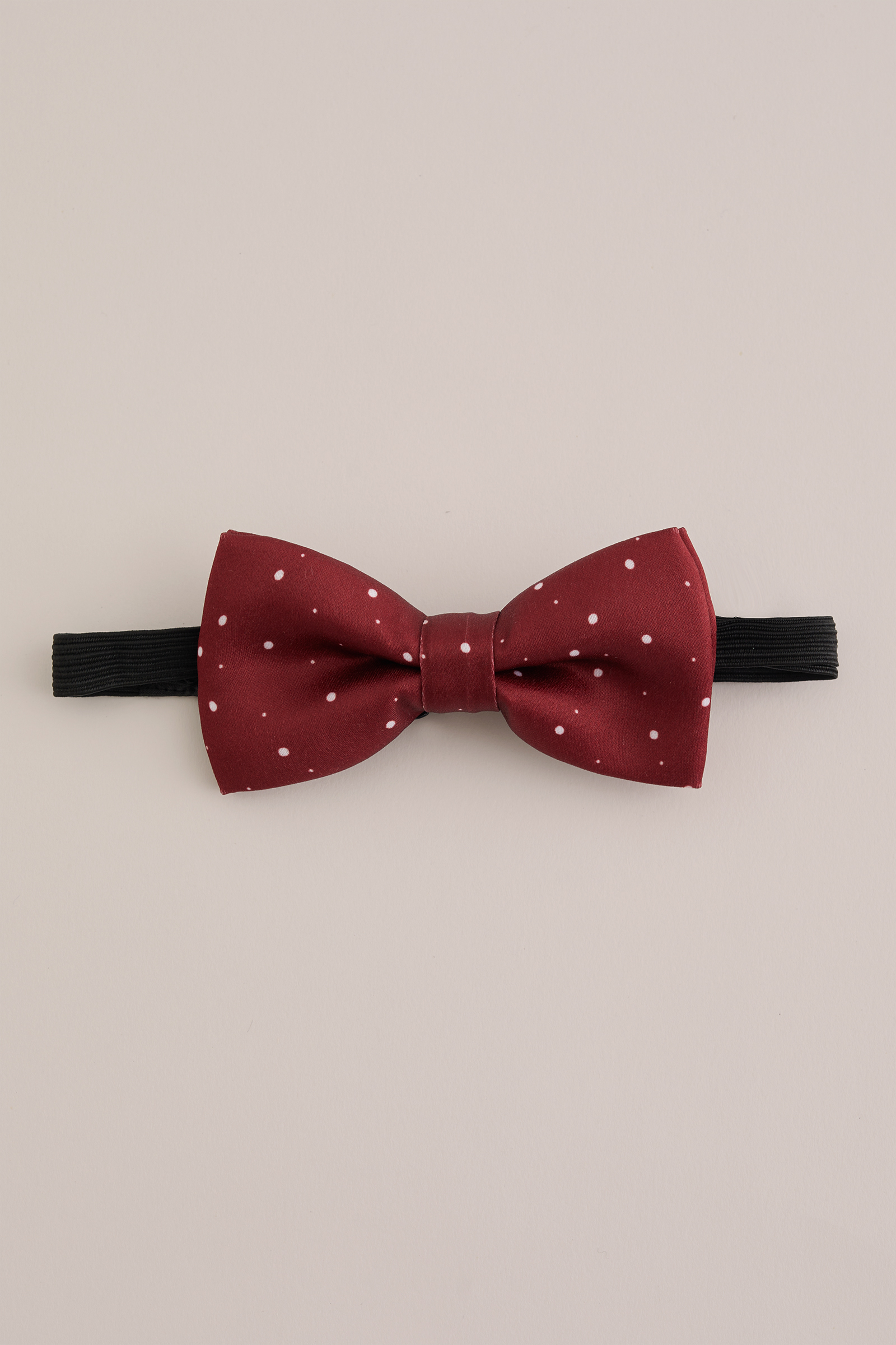 Jongens vlinderdas met kerstprint