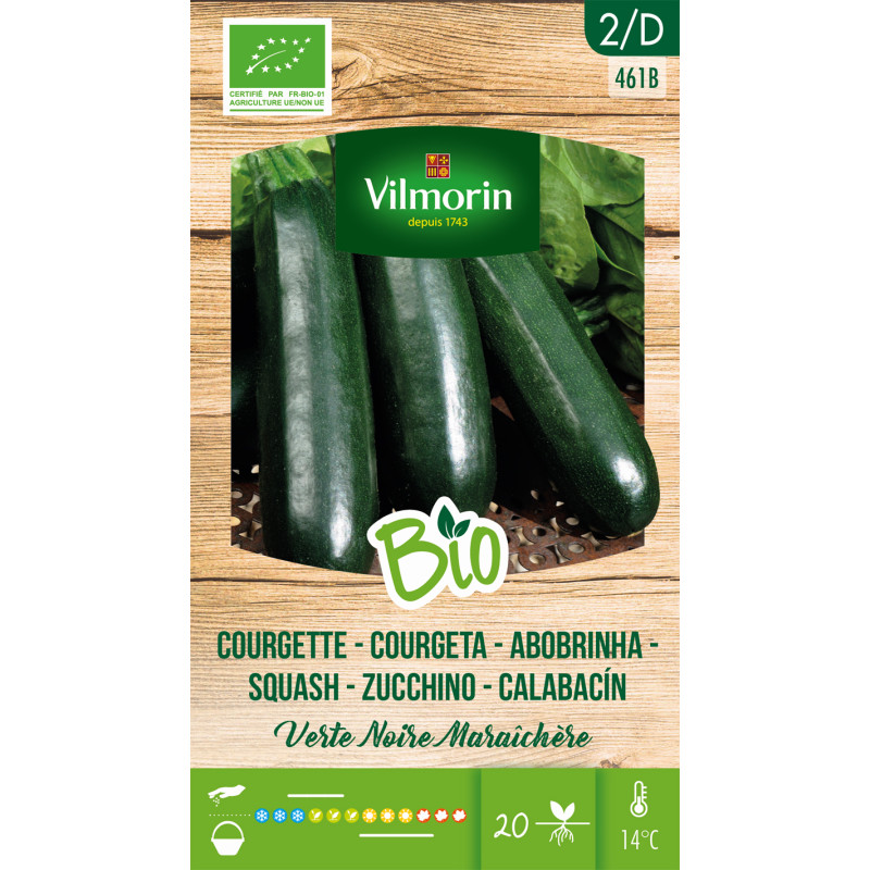 Semences de courgette verte noire Maraîchère Bio VILMORIN