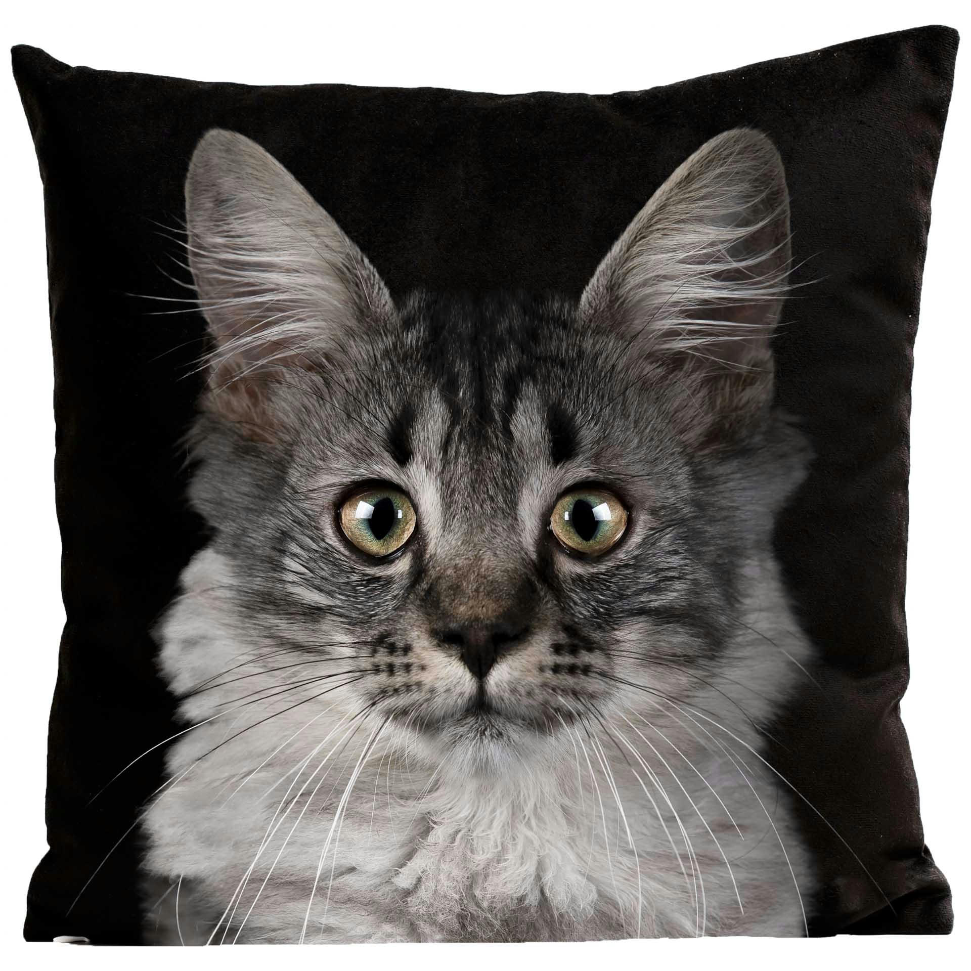 - Coussin chat suédine noir 40x40cm