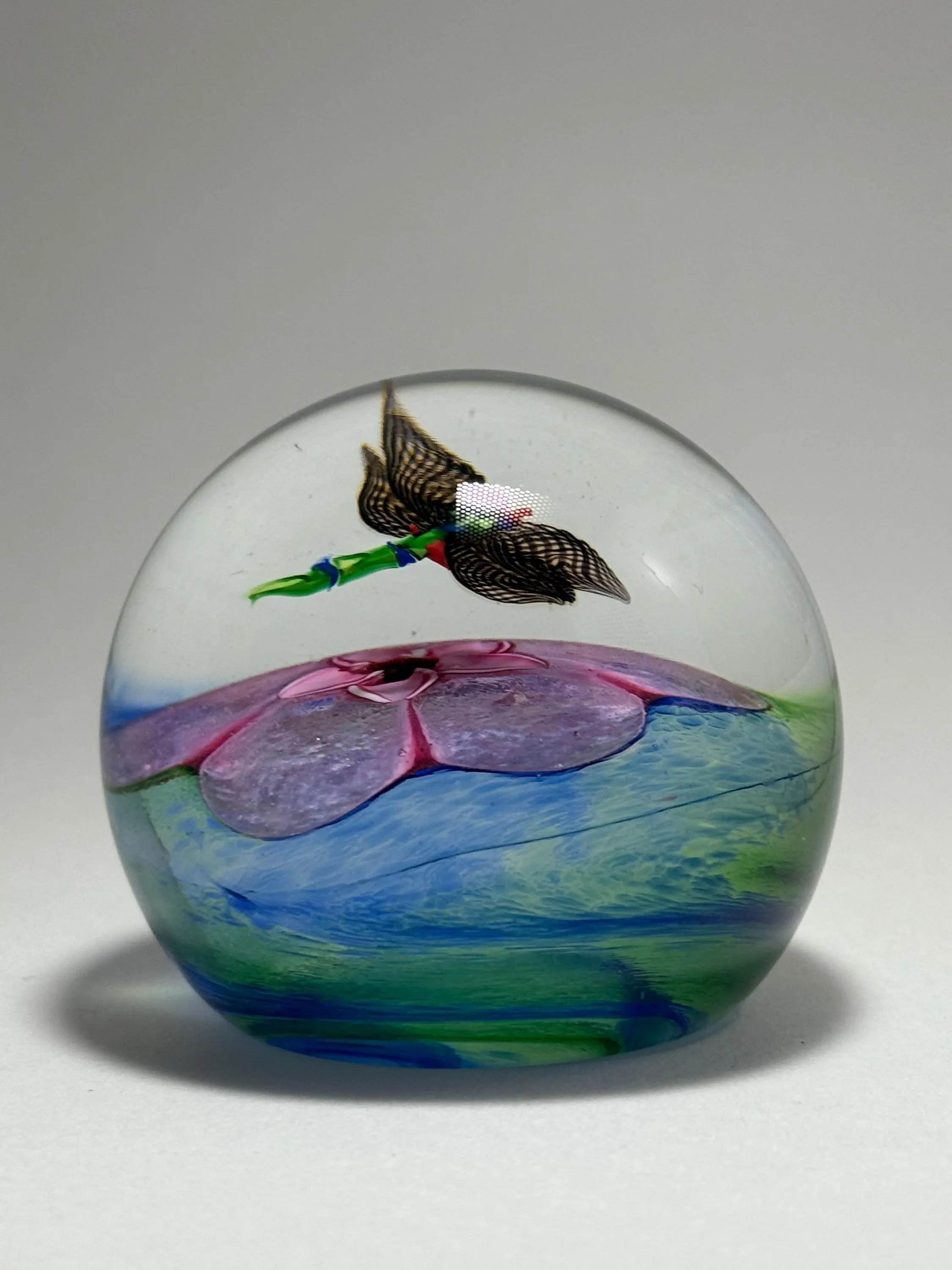 Caithness Morning Flight Dragonfly Paperweight