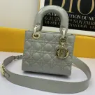 Dior The LADY D-LITE Bag