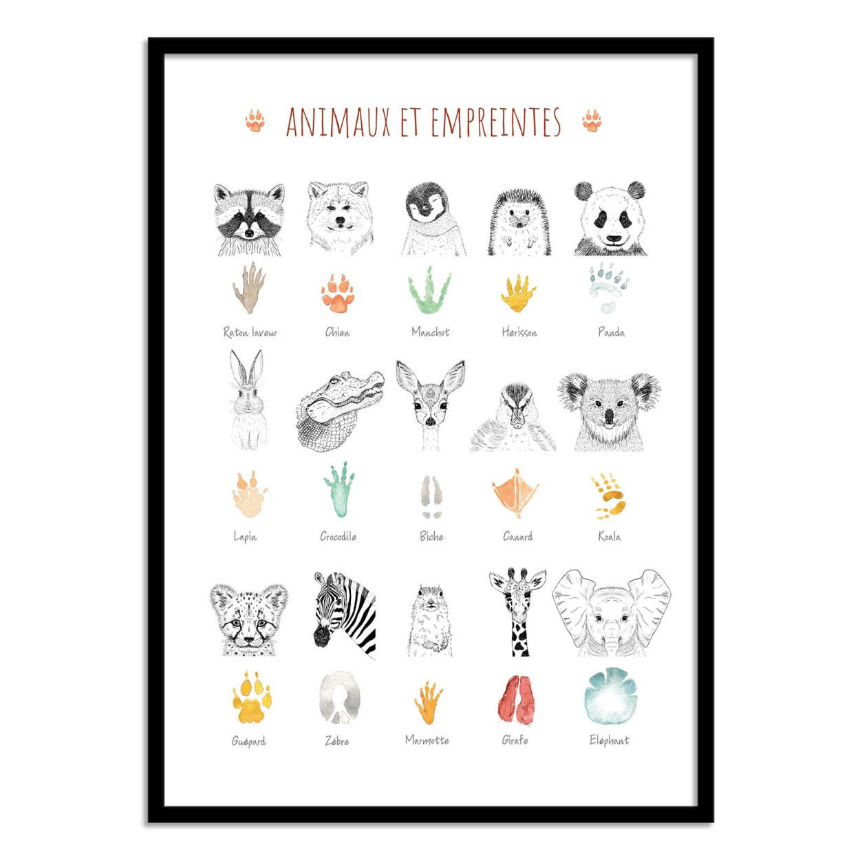 LES LOULOUS - ANIMAUX ET EMPREINTES - LES LOULOUS - Affiche d'art enfant 50 x 70 cm