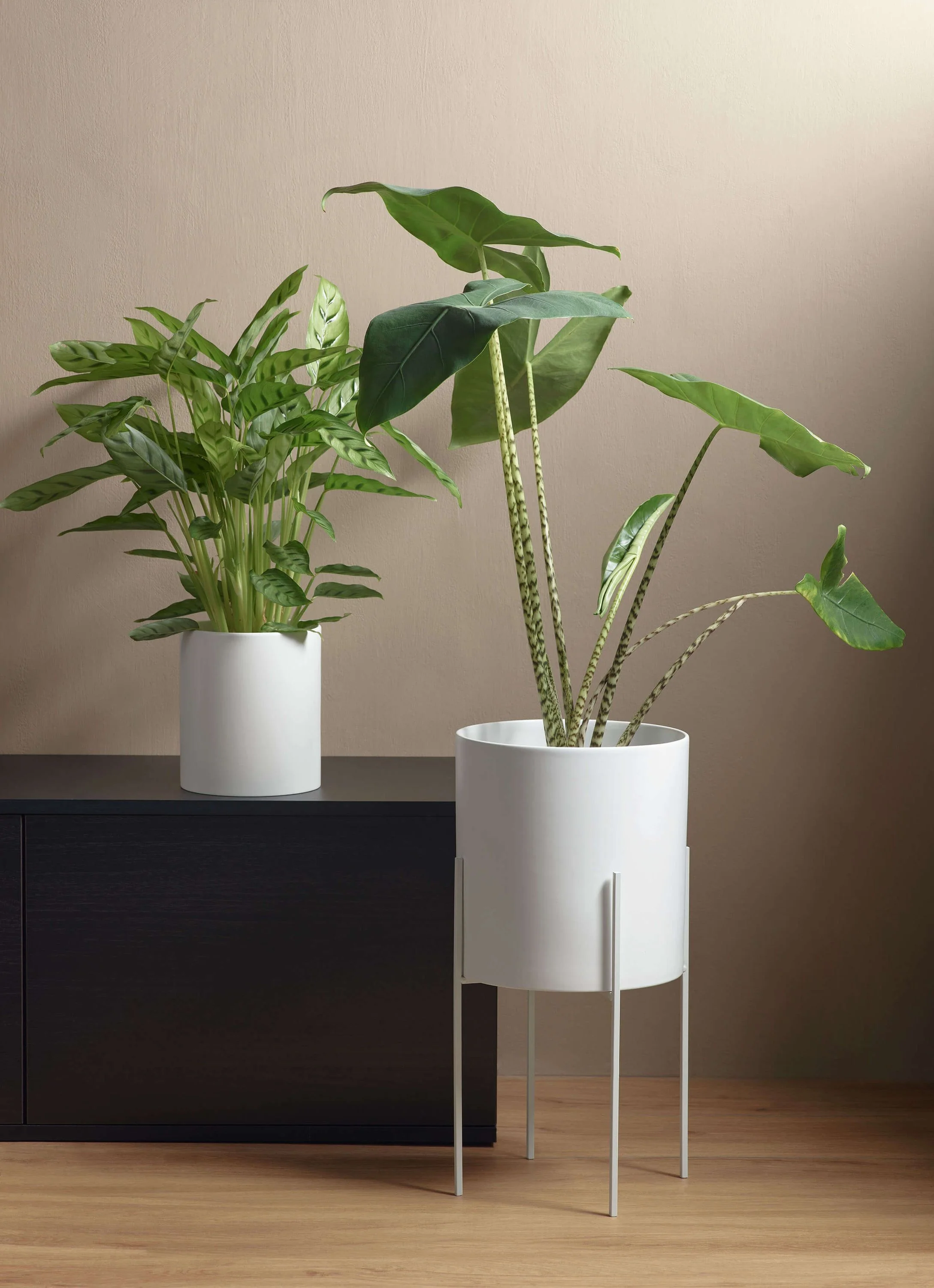 übertopf, weiß